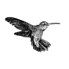 Tableau Icon